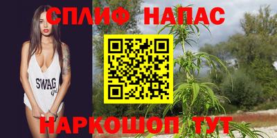 СК Коммунар