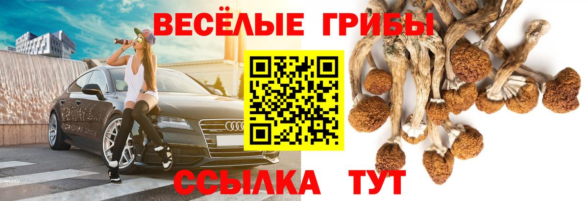 Кубинка  Псилоцибиновые грибы мицелий  Вход с VPN 